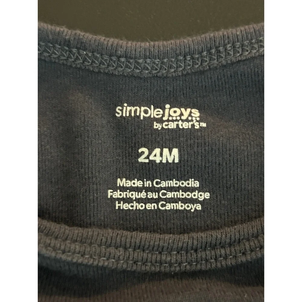 Simple Joys by Carters Baby Boys Gray Long Sleeve Bodice 24M GCL91382-IGP 1335